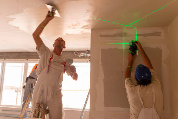 Best Ceiling Drywall Installation  in Clayton, IN